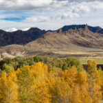 Fall Colors along the North Fork