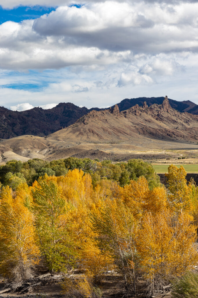 Fall Colors along the North Fork